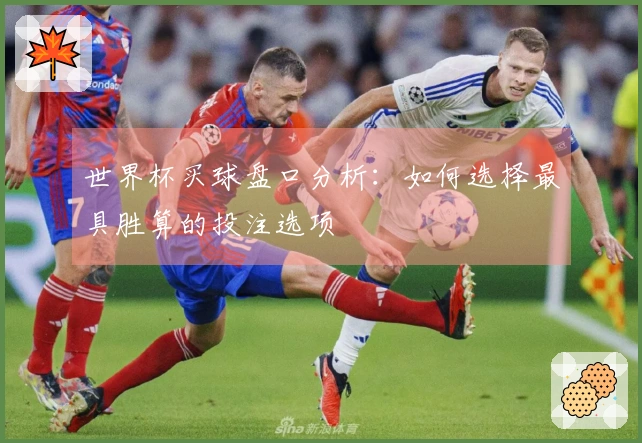 世界杯买球盘口分析：如何选择最具胜算的投注选项
