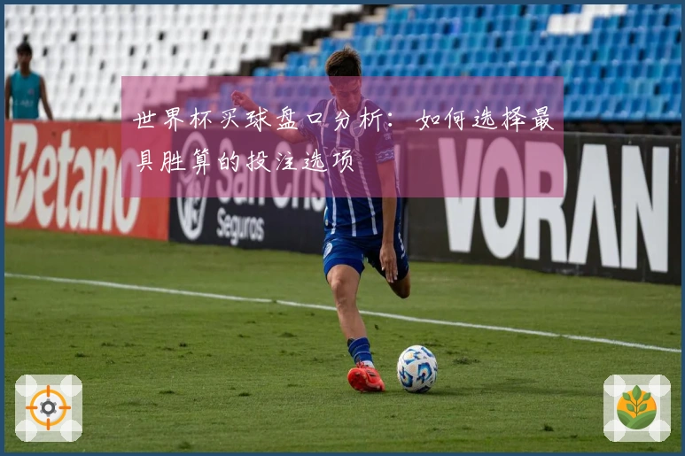 世界杯买球盘口分析：如何选择最具胜算的投注选项