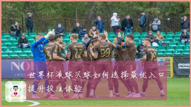 世界杯滚球买球如何选择最优入口提升投注体验
