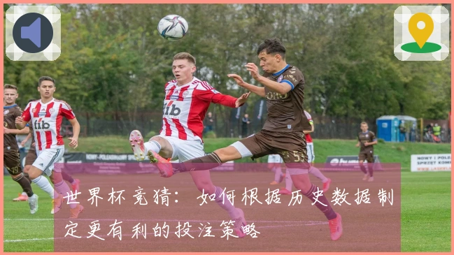 世界杯竞猜：如何根据历史数据制定更有利的投注策略