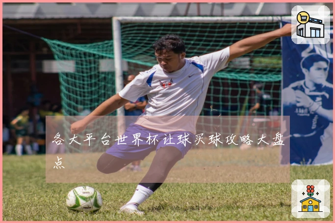 各大平台世界杯让球买球攻略大盘点