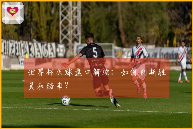 世界杯买球盘口解读：如何判断胜负和赔率？