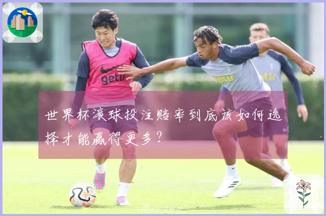 世界杯滚球投注赔率到底该如何选择才能赢得更多？