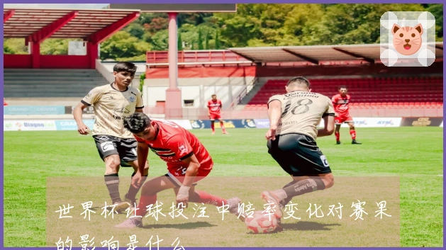 世界杯让球投注中赔率变化对赛果的影响是什么