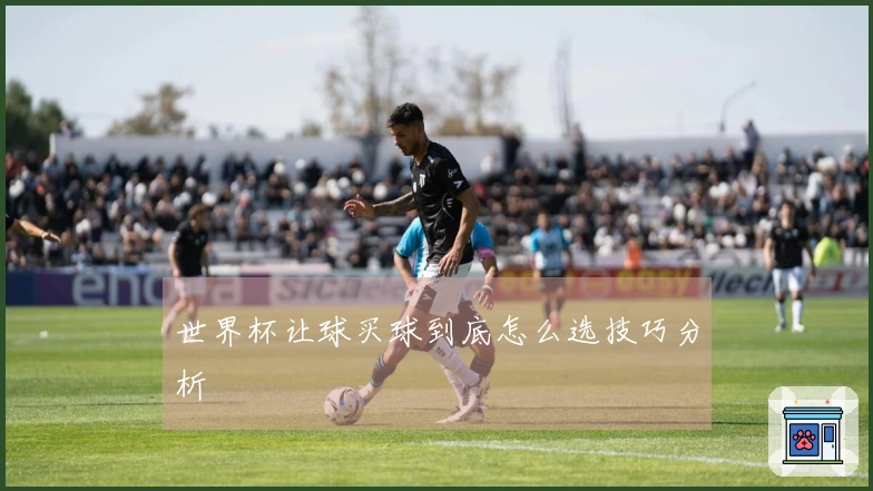 世界杯让球买球到底怎么选技巧分析