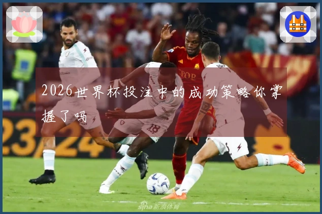 2026世界杯投注中的成功策略你掌握了吗