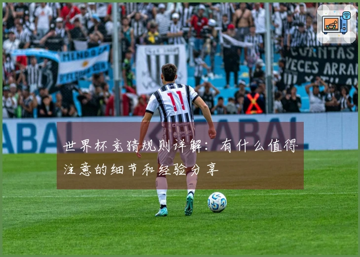 世界杯竞猜规则详解：有什么值得注意的细节和经验分享