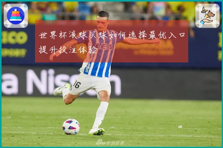 世界杯滚球买球如何选择最优入口提升投注体验