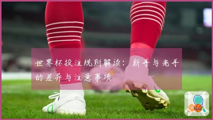 世界杯投注规则解读：新手与老手的差异与注意事项
