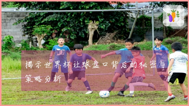 揭示世界杯让球盘口背后的秘密与策略分析